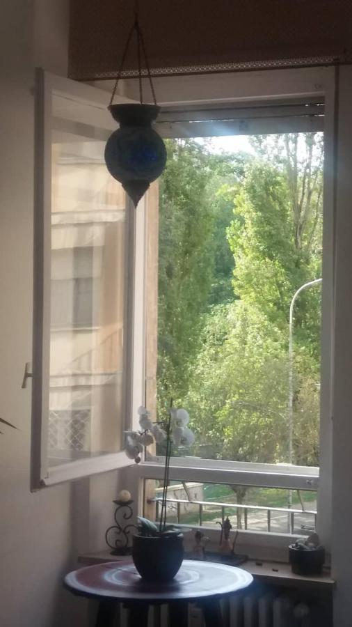 Vista Sul Fiume Daire Torino Dış mekan fotoğraf